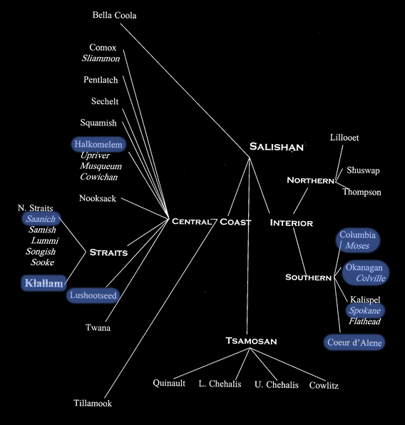 Salishan Family Tree